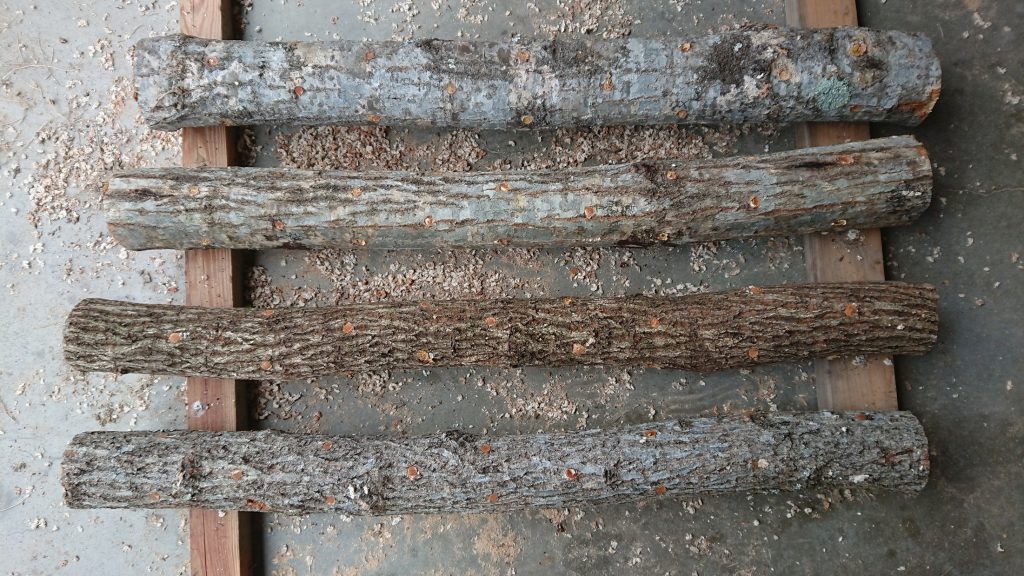 原木しいたけの仕込み